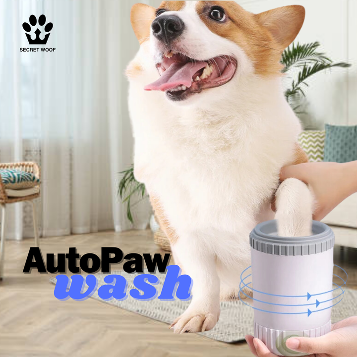 AutoPaw Wash