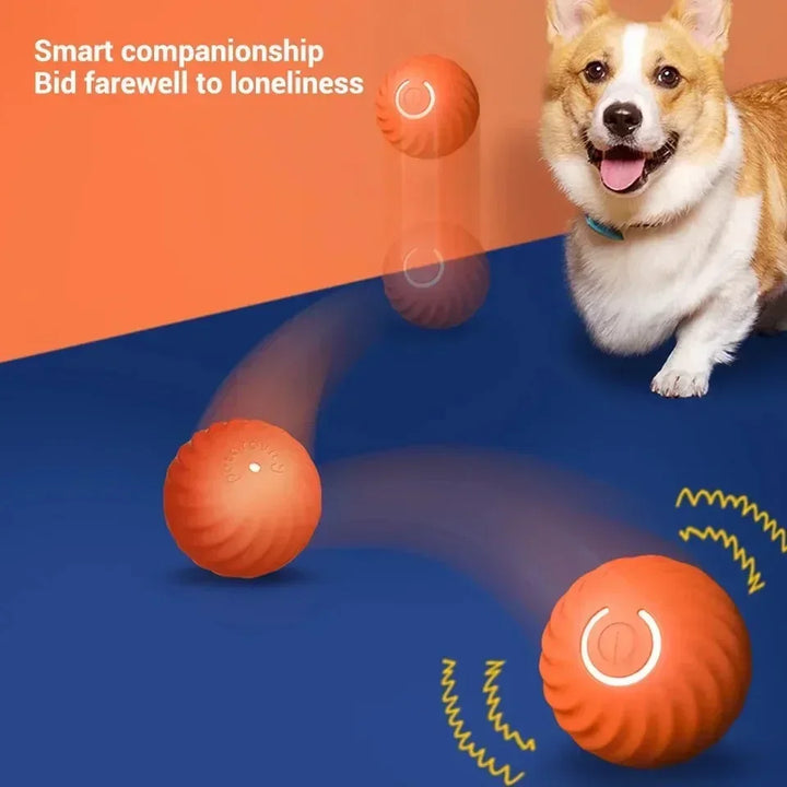 ⚡ SmartyRoll Ball: Keep Your Dog Entertained and Active! ⚽