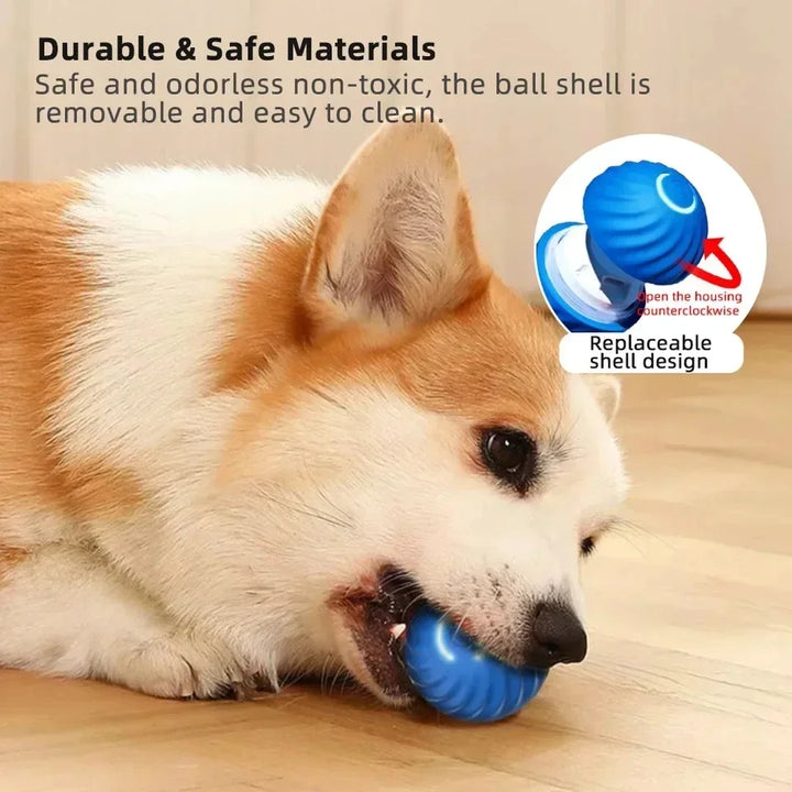 ⚡ SmartyRoll Ball: Keep Your Dog Entertained and Active! ⚽