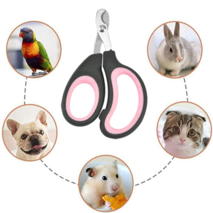 Needle Brush For Cats And Dogs