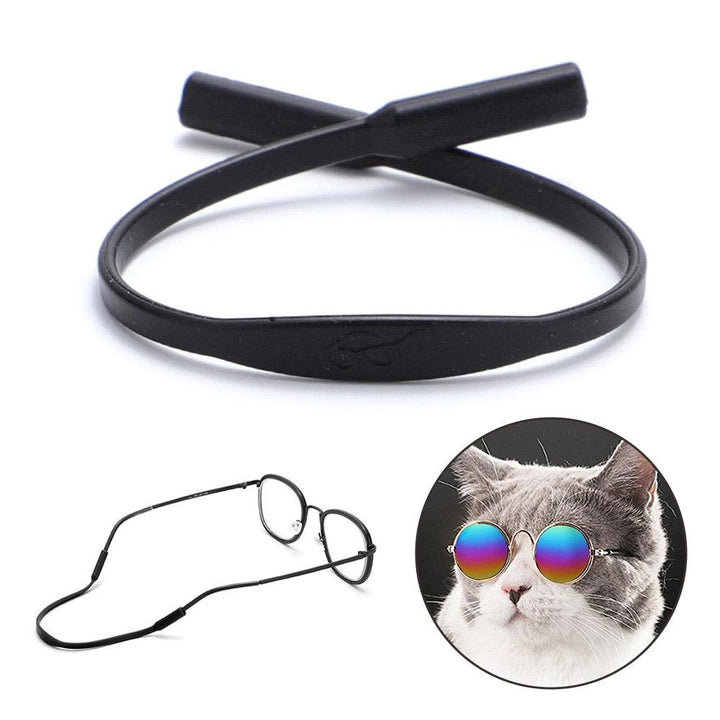 Glasses for dogs and cats