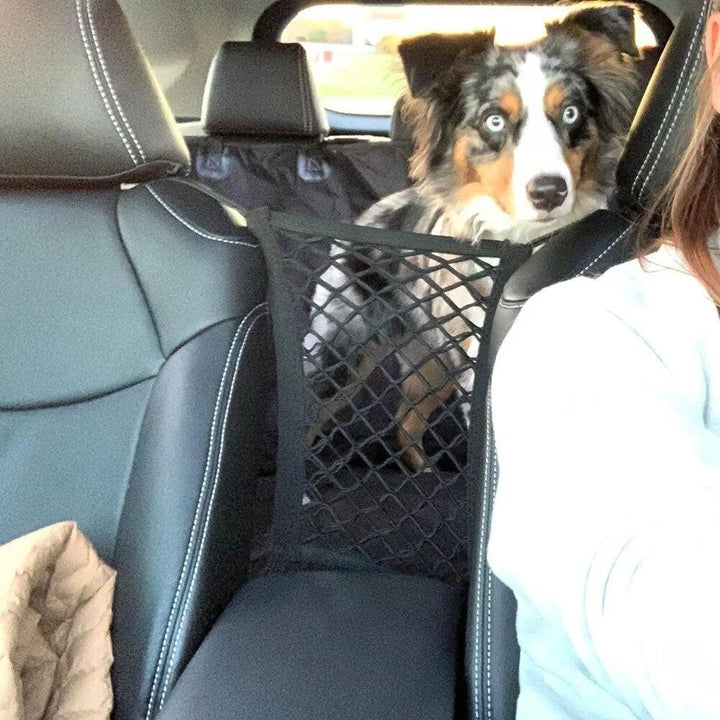 Car Seat Safety Net