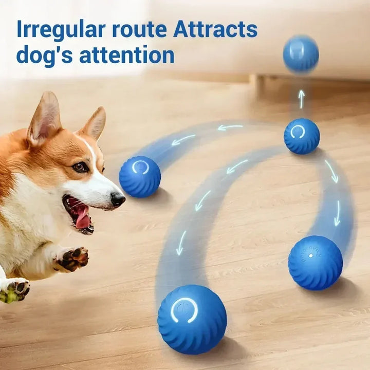 ⚡ SmartyRoll Ball: Keep Your Dog Entertained and Active! ⚽