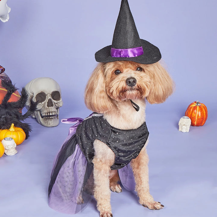 Velvet Halloween Dog Dress with Witch Hat Holiday Theme Dog Tutu Dresses for Small Dogs Girl Halloween Cat Costume Adjustable Wi