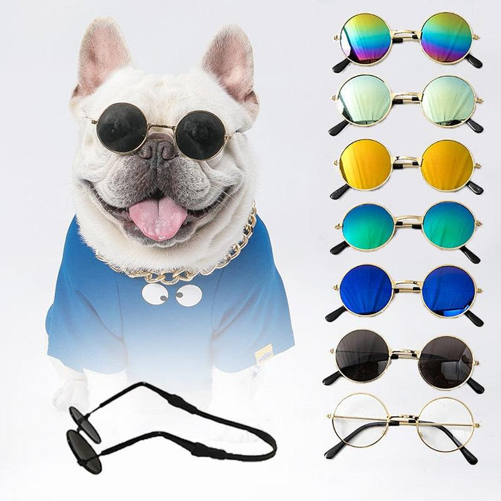 Glasses for dogs and cats